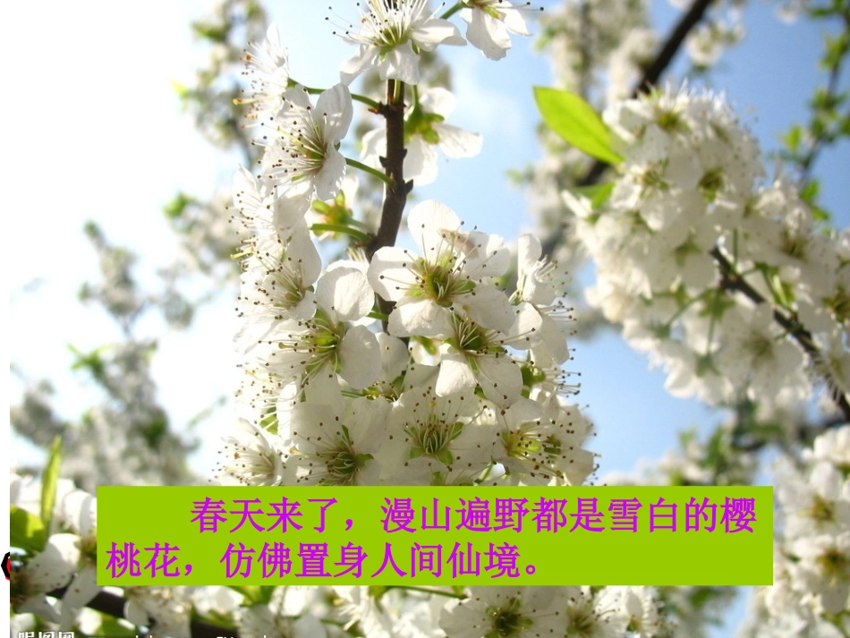 《搭石》PPT课件[1] (2)_第2页