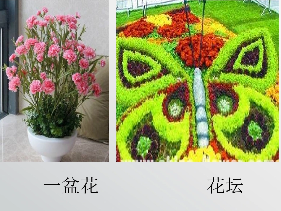 《摆花样》 (2)_第2页