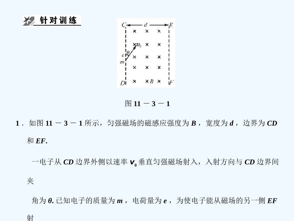【创新设计】2011届高考物理一轮复习 第3课时 专题 带电粒子在磁场中运动问题特例课件 人教大纲版_第3页