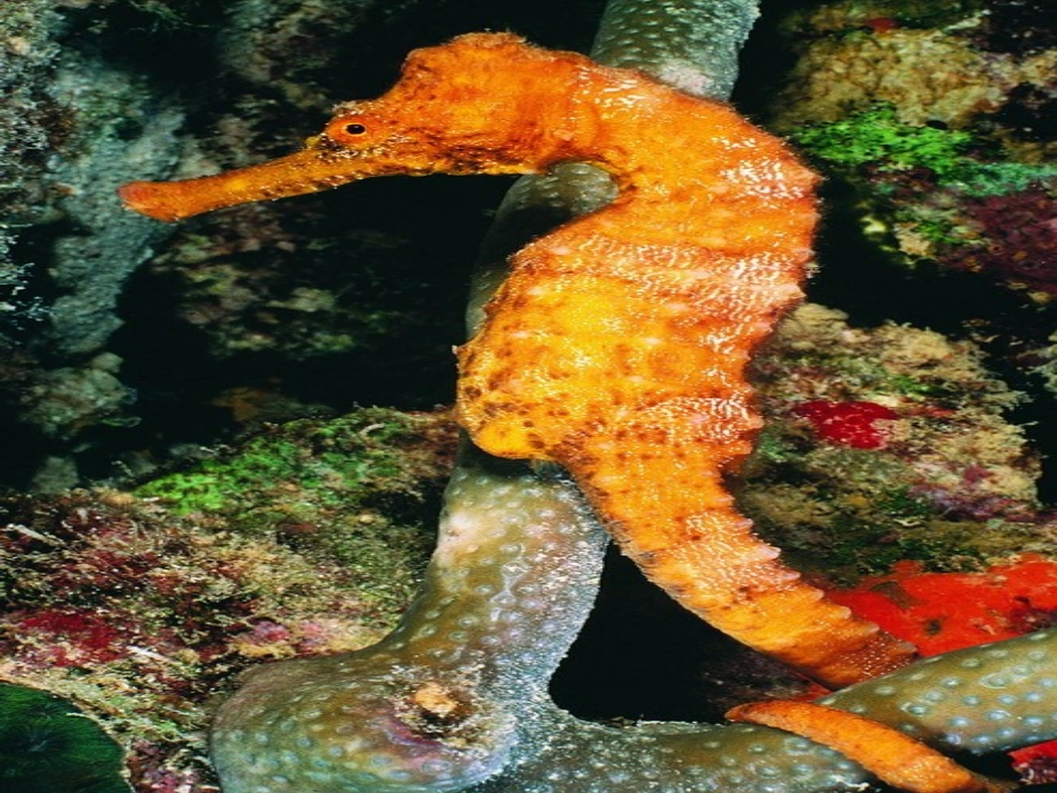 《自然之道》1课件_第2页