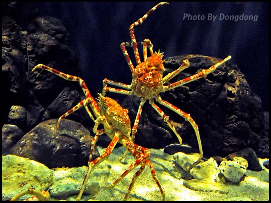 《自然之道》1课件_第3页