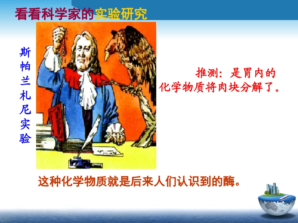 《降低化学反应活化能的酶》课件_第3页