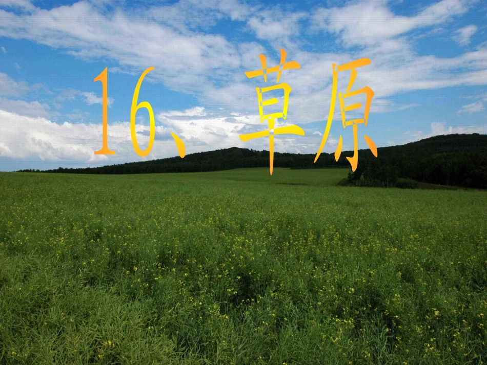 《草原》学习教案课件PPT_第1页