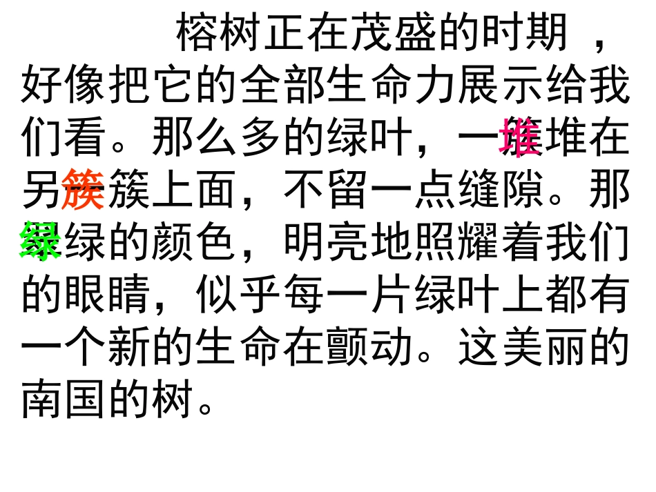 《鸟的天堂》教学课件_第3页