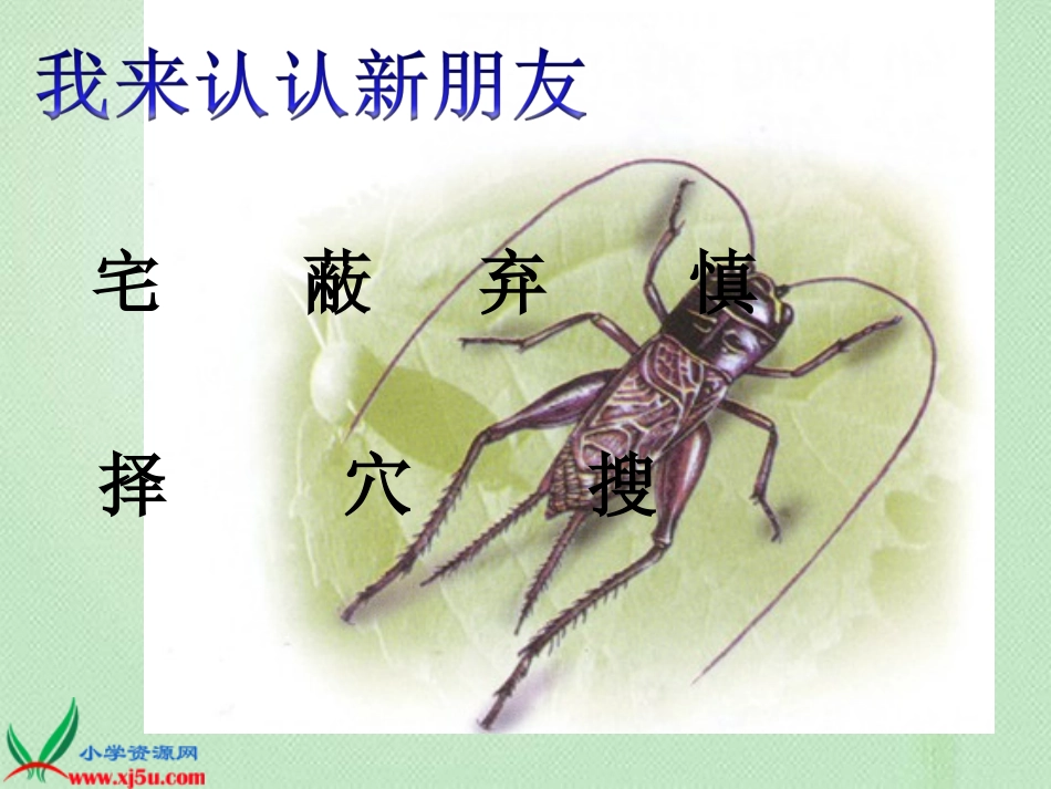 《蟋蟀的住宅》PPT课件 (3)_第2页