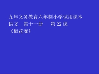 《梅花魂》课件【13页】