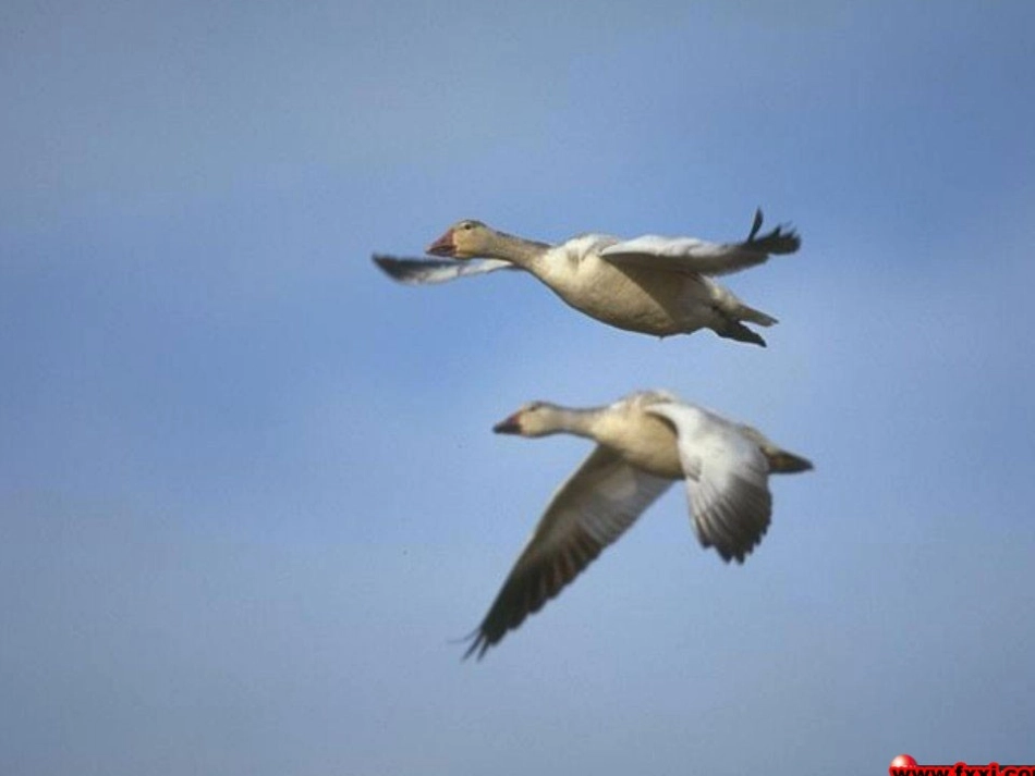 《秋天》课件_第2页