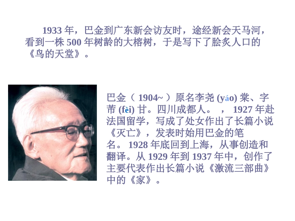 《鸟的天堂》课件3_第3页