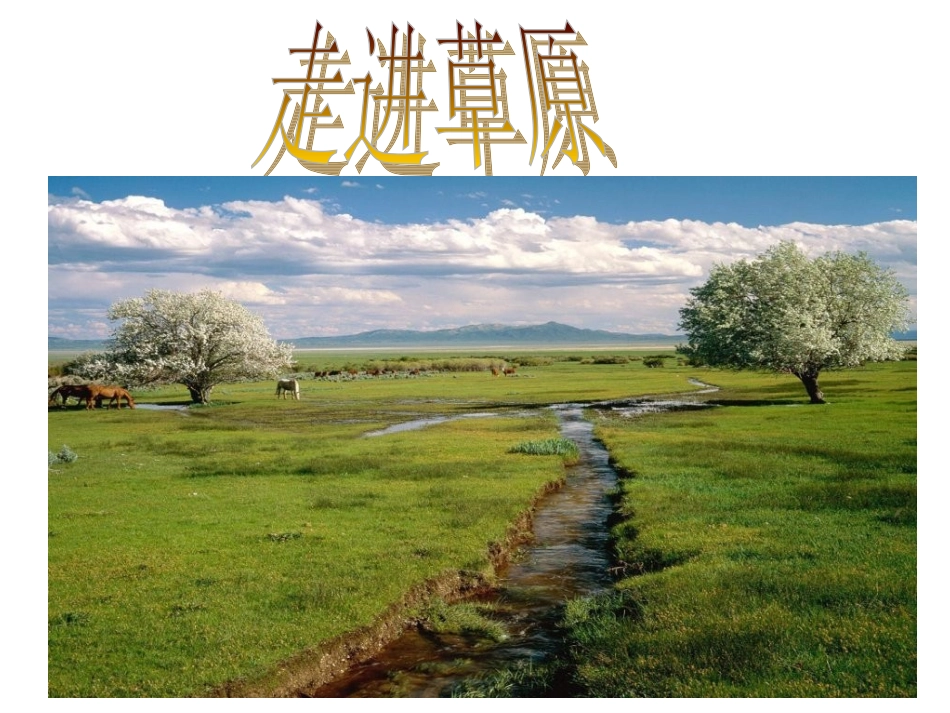 《草原》PPT课件0_第3页