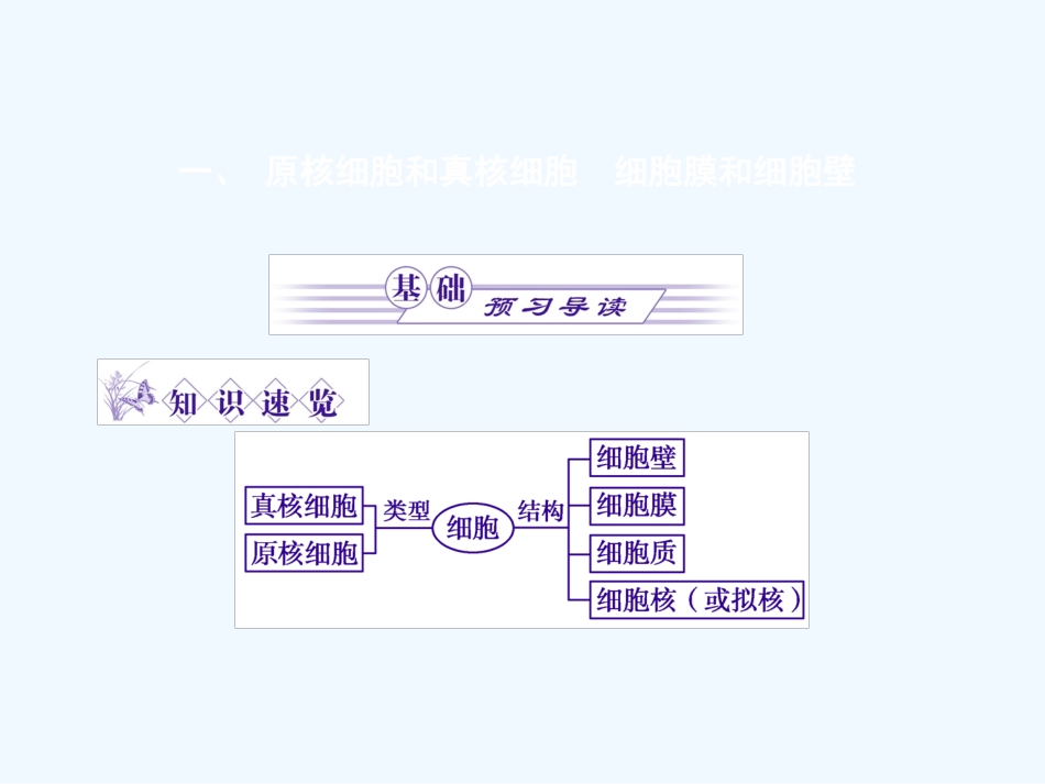 《金版》高中生物 第三单元 第二节细胞的类型和结构课件 苏教版必修1_第3页