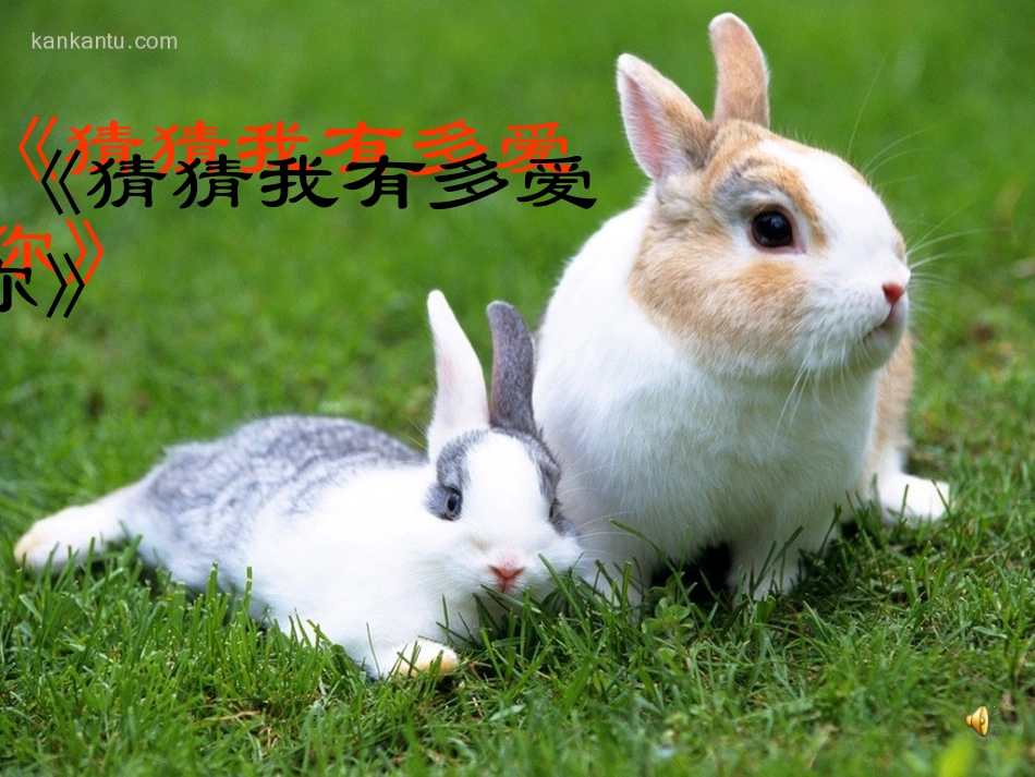 《猜猜我有多爱你》绘本故事PPT课件_第1页