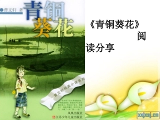 《青铜葵花》推荐