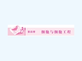 《金版新学案》2011高三生物一轮 课时1 细胞的生物膜系统及细胞工程课件 选修4
