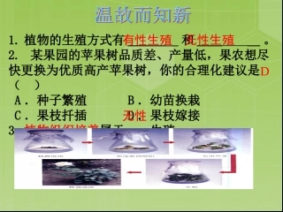 《昆虫的生殖和发育》课件(人教版)