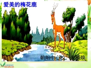 《爱美的梅花鹿》课件