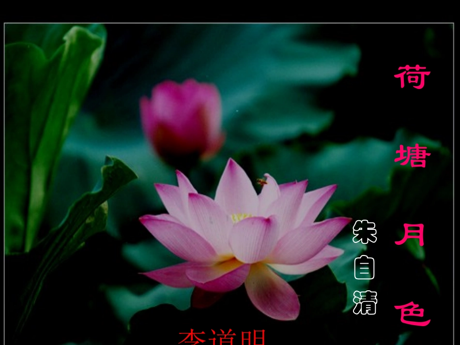 《荷塘月色》优秀课件_第1页
