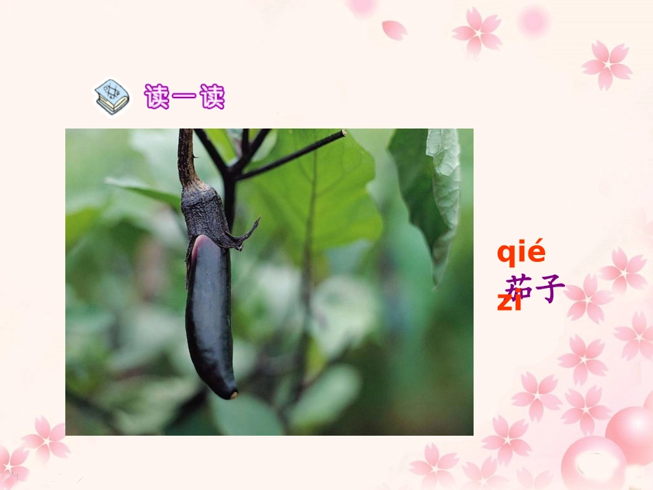 《菜园里》教学课件_第3页