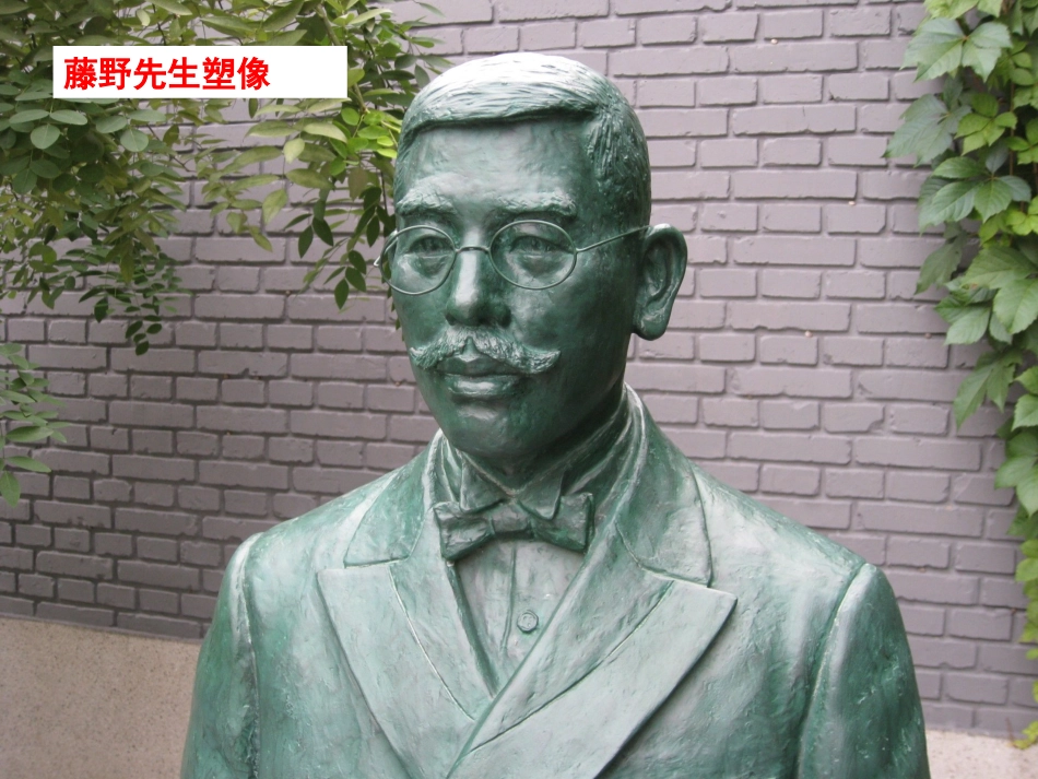 《藤野先生》课件 (3)_第3页