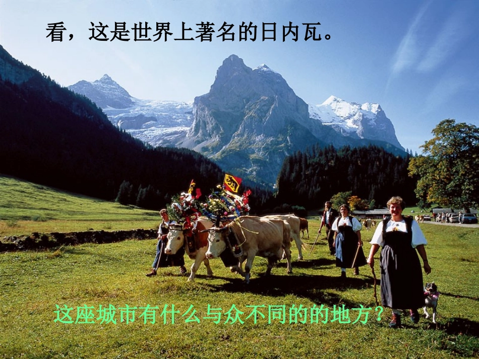 《让它们自由生息》课件(2)_第3页