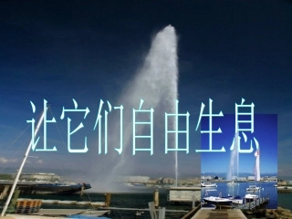 《让它们自由生息》课件(2)
