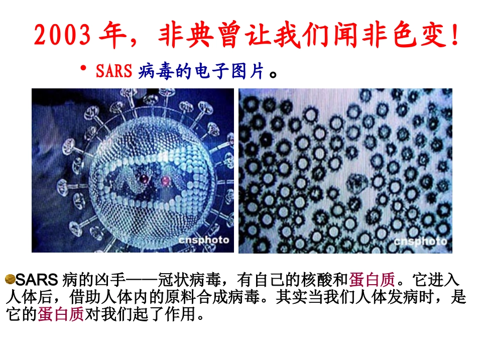 《蛋白质和核酸》课件（新人教版选修5）_第3页