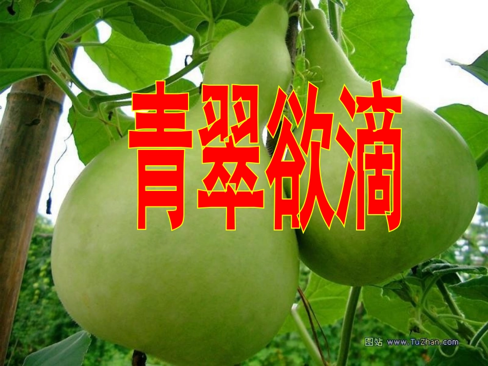 《我要的是葫芦》二上1_第2页