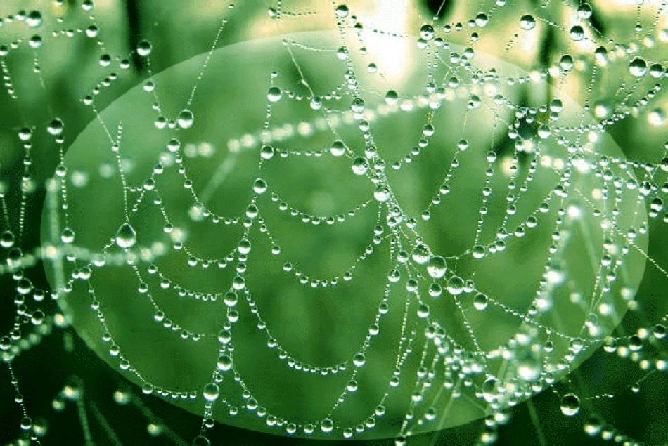 《雨说》郑愁予PPT_第3页