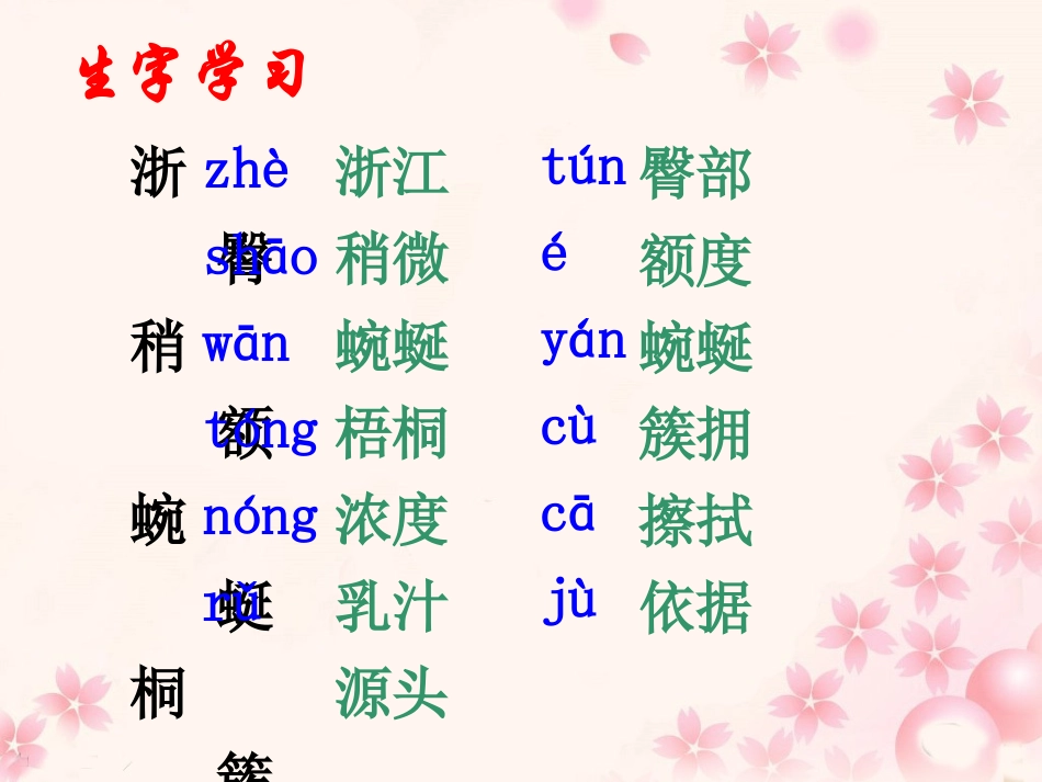 《记金华的双龙洞》教学课件2_第3页