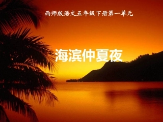 《海滨仲夏夜》课件新