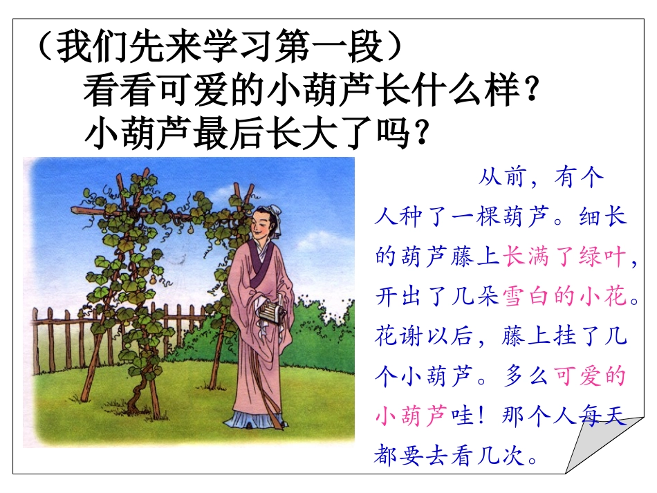 《我要的是葫芦》正式课件A_第2页