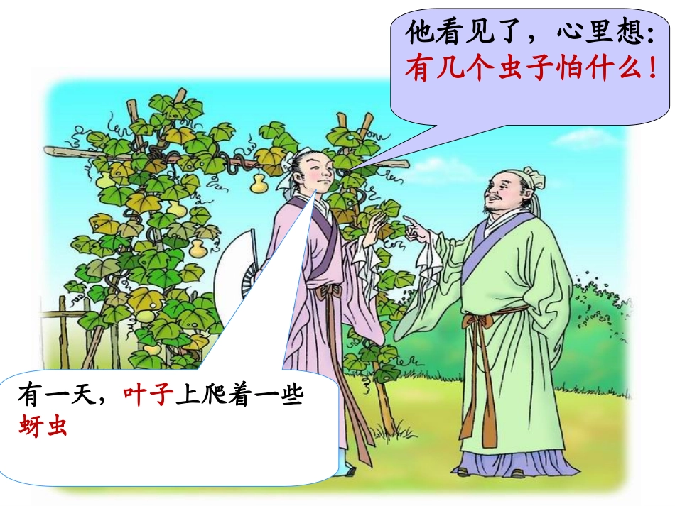 《我要的是葫芦》正式课件A_第3页
