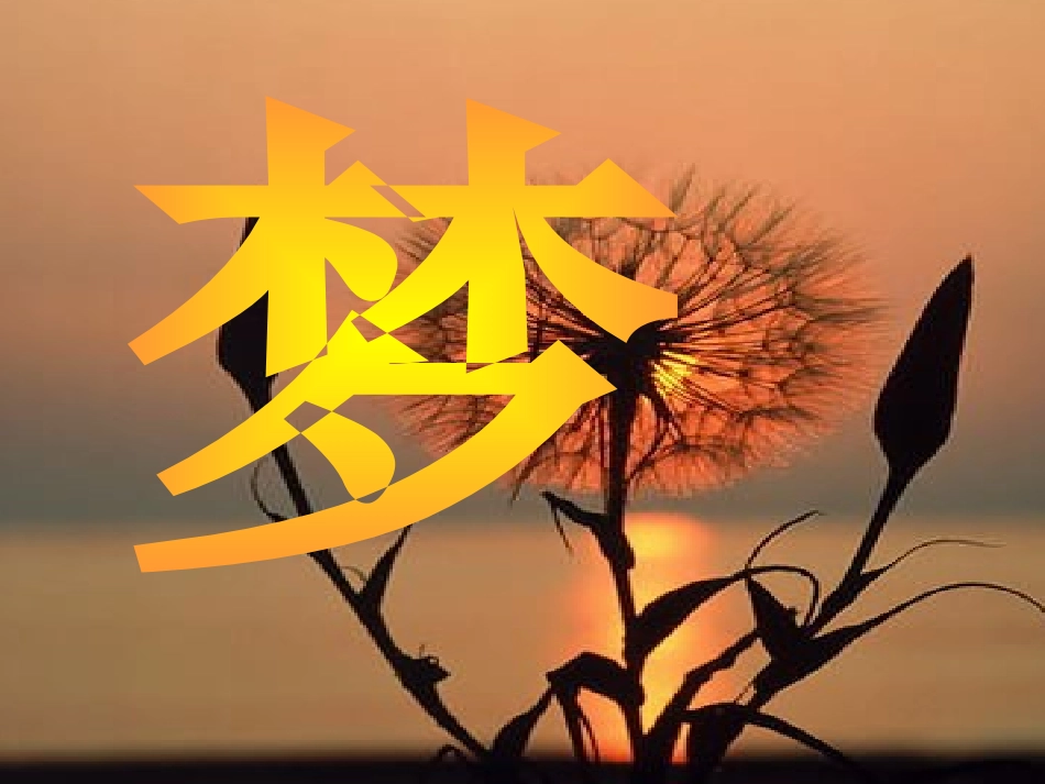 《蒲公英的梦》公开课教学课件_第1页