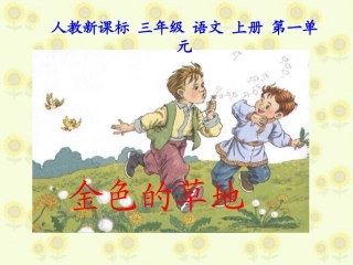 《金色的草地》教学课件2
