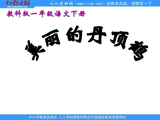 《美丽的丹顶鹤》课件2