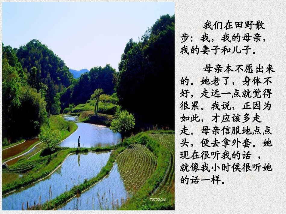 《散步》+董伟玲_第3页