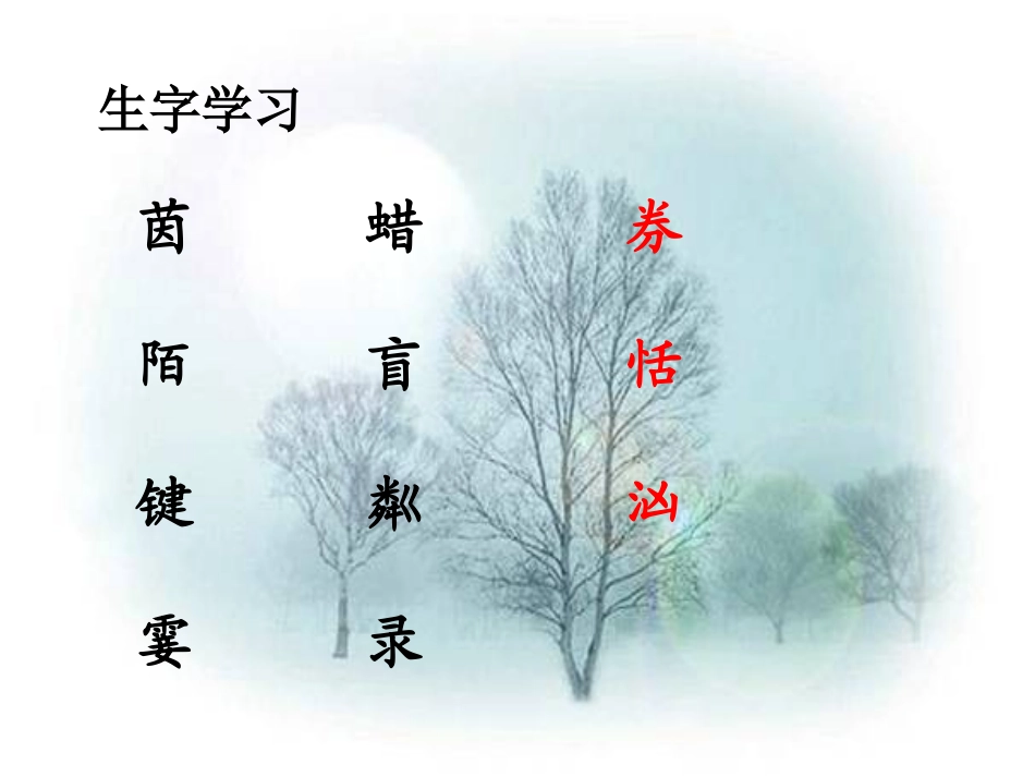 《月光曲》教学课件1_第2页
