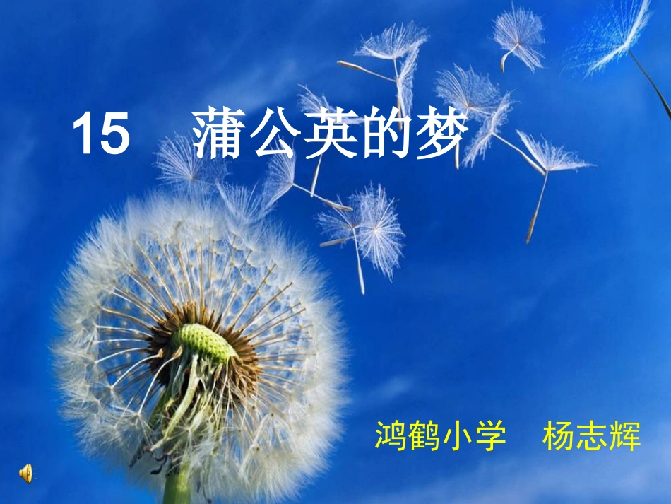 《蒲公英的梦》课件_第1页