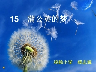 《蒲公英的梦》课件
