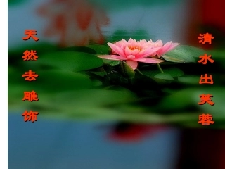 《爱莲说》课件好