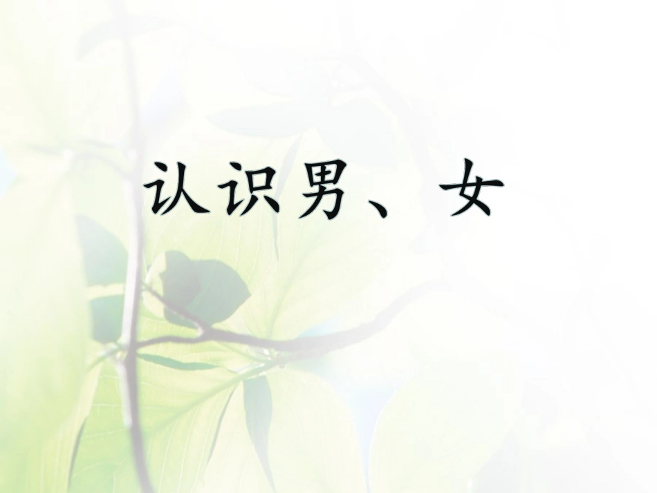 《认识男生、女生》_第3页