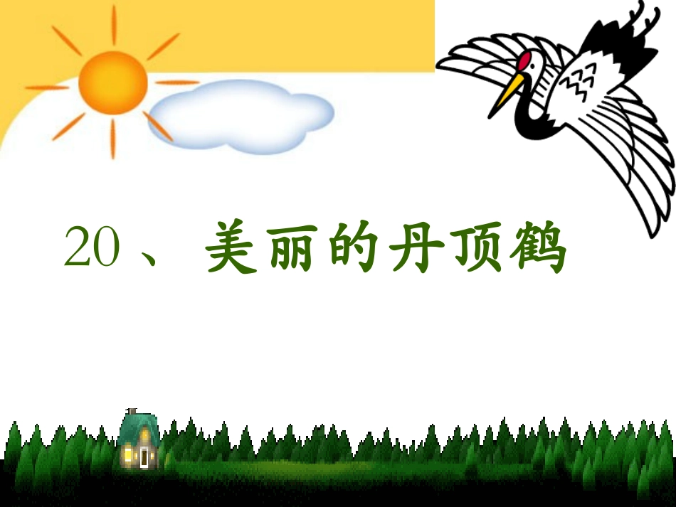 《美丽的丹顶鹤》课件(1)_第1页