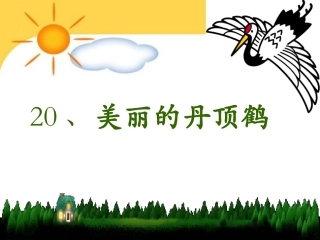 《美丽的丹顶鹤》课件(1)