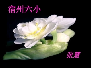 《花钟》课件人教版三年级上册