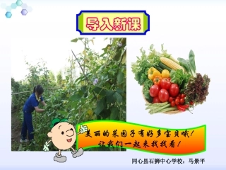 一年级上册语文——15一次比一次有进步