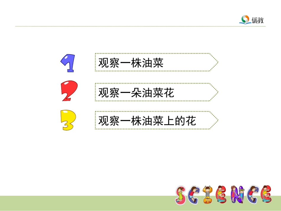 《油菜花开了》教学课件_第2页