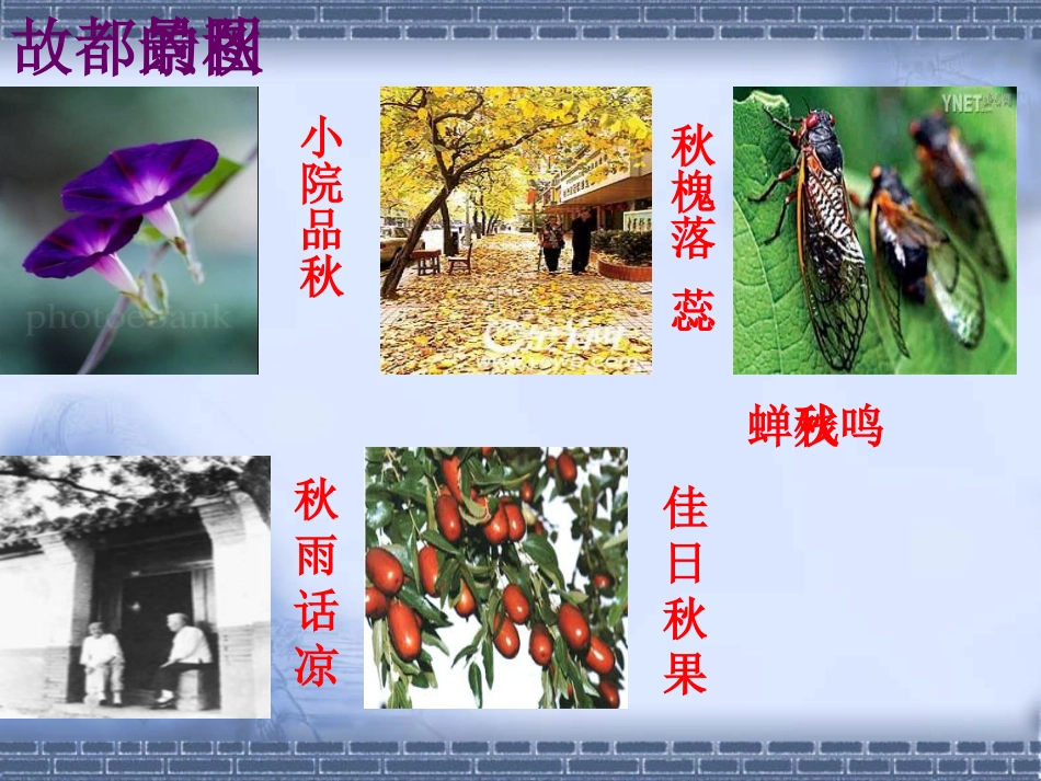 《故都的秋》课件_第3页