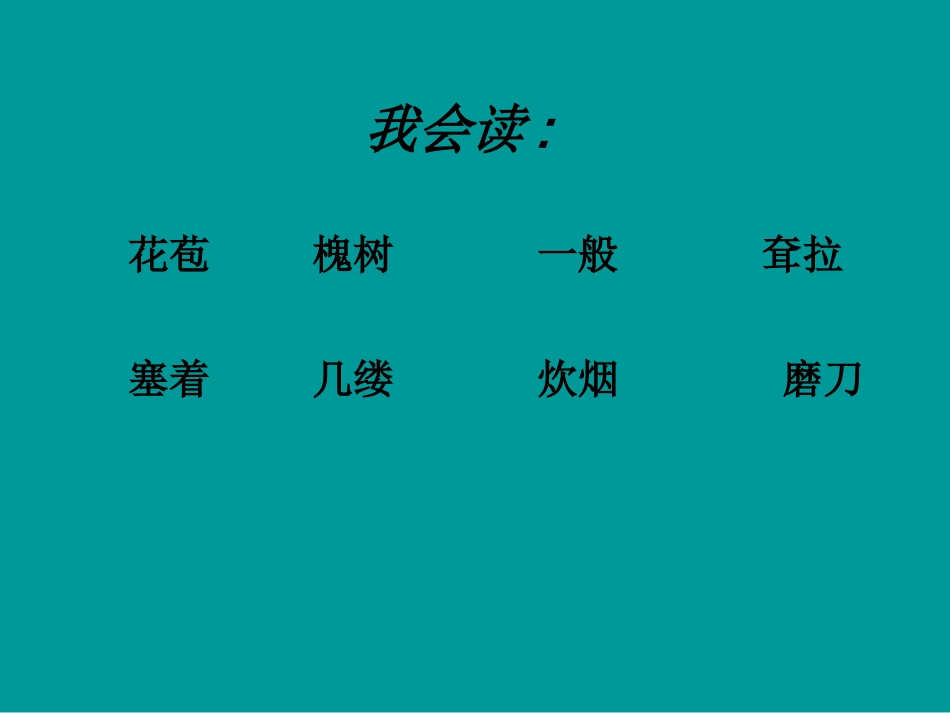 《槐乡的孩子》课件4_第2页