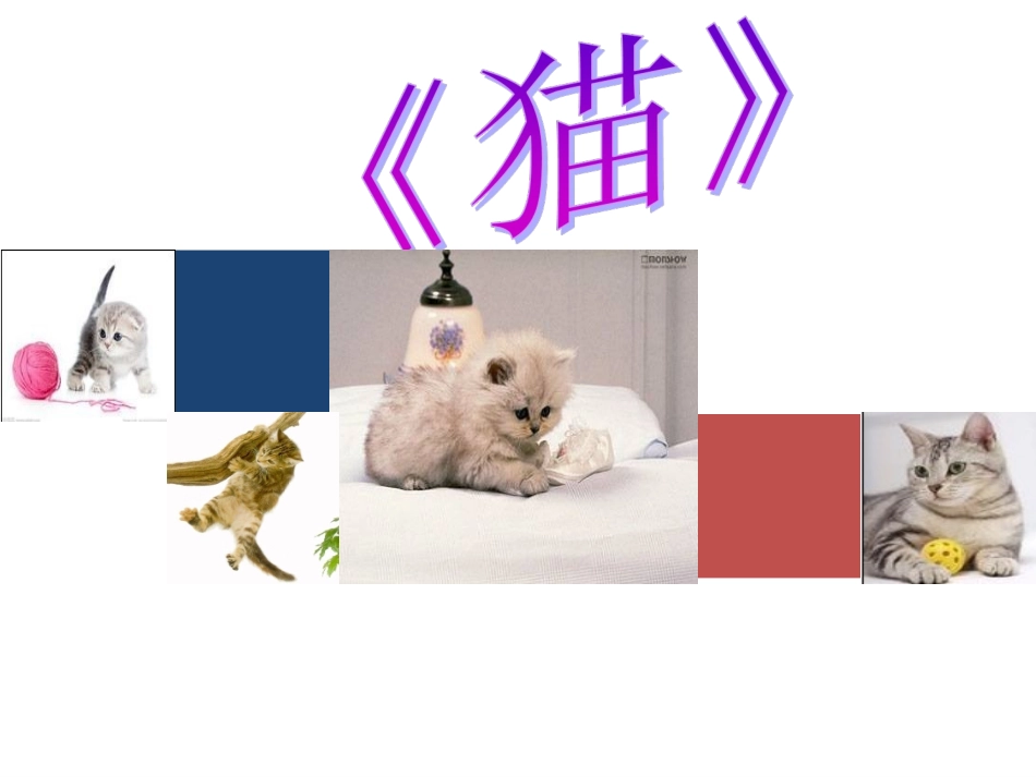 《猫》说课PPT屈丹丹_第1页