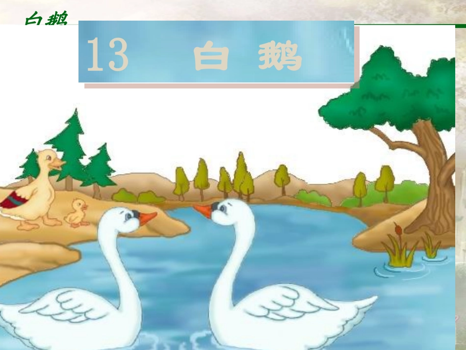《白鹅》PPT课件第二课时_第1页