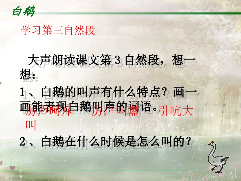 《白鹅》PPT课件第二课时_第3页